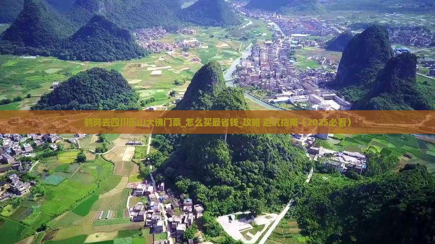 鹤岗去四川乐山大佛门票