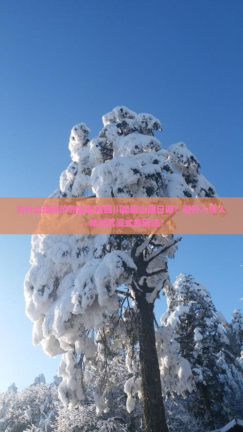 泸州去四川峨眉山四日游