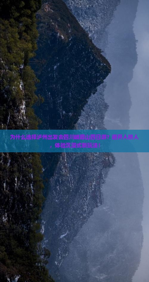 泸州去四川峨眉山四日游
