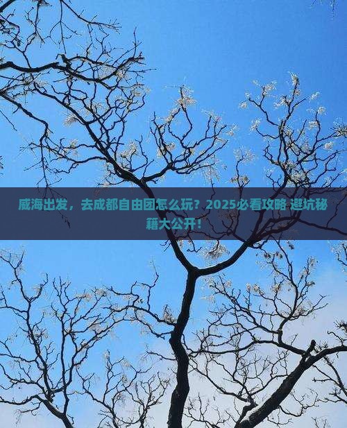 威海到四川成都自由团