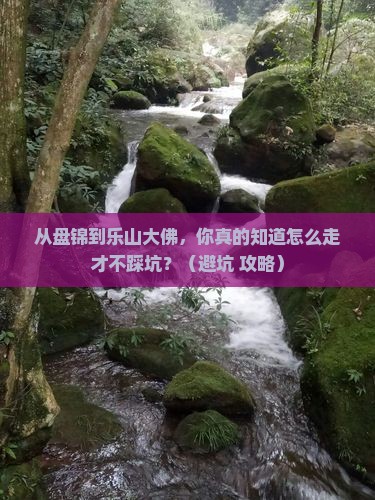 盘锦到四川乐山大佛景点