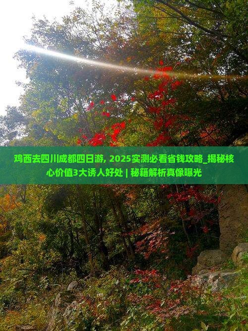 鸡西去四川成都四日游
