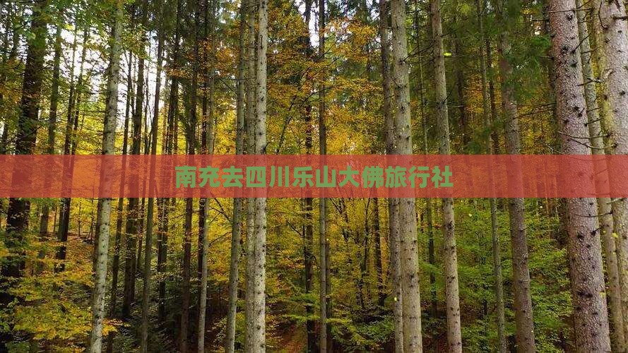 南充去四川乐山大佛旅行社