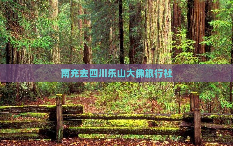 南充去四川乐山大佛旅行社