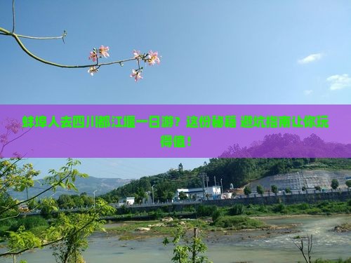 蚌埠去四川都江堰一日