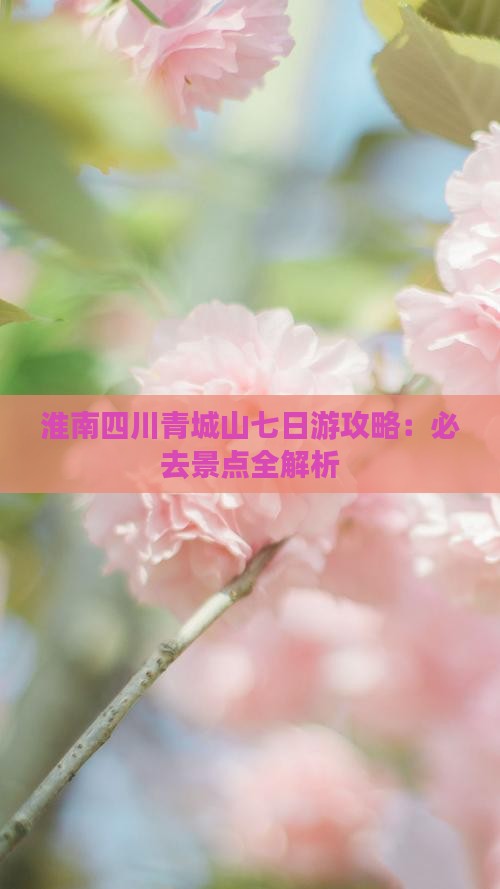 淮南去四川青城山七日游