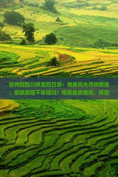 徐州到四川黄龙四日游