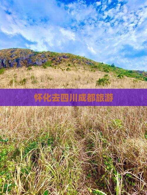 怀化去四川成都旅游