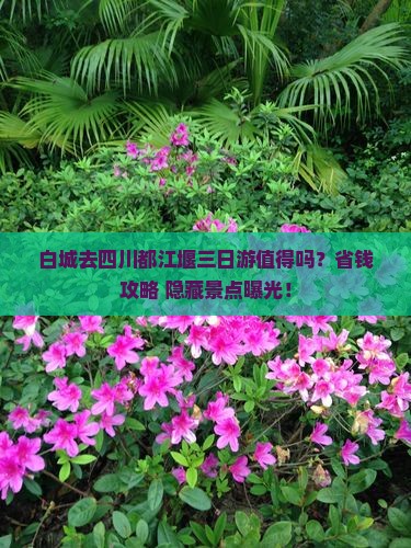 白城去四川都江堰三日游