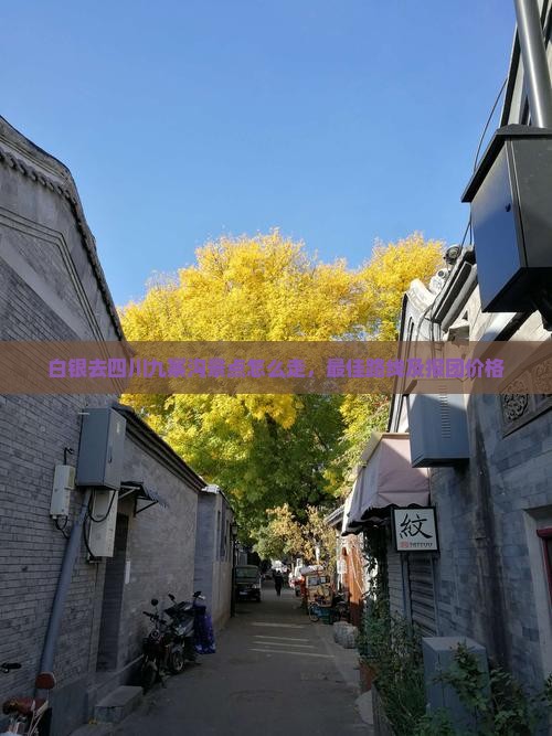 白银去四川九寨沟景点