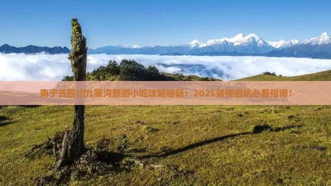南宁去四川九寨沟旅游小吃