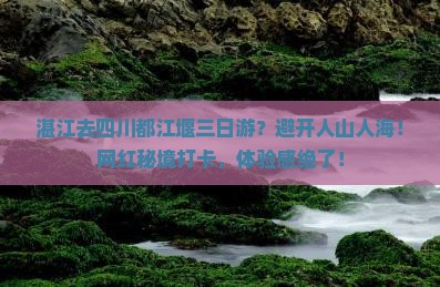 湛江去四川都江堰三日游