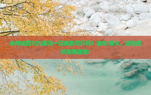 永州去四川九寨沟一日