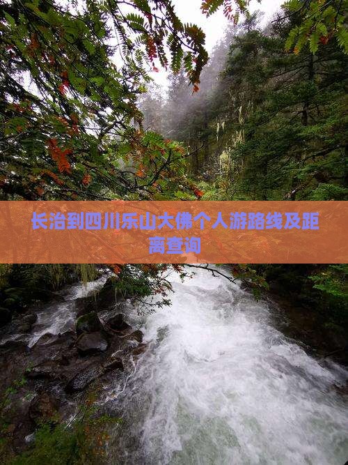 长治到四川乐山大佛个人游