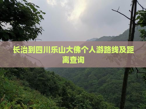 长治到四川乐山大佛个人游