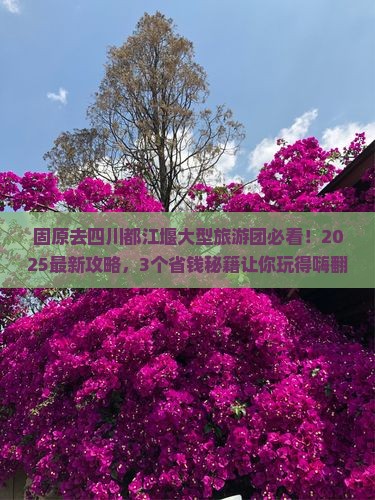 固原去四川都江堰大型旅游团