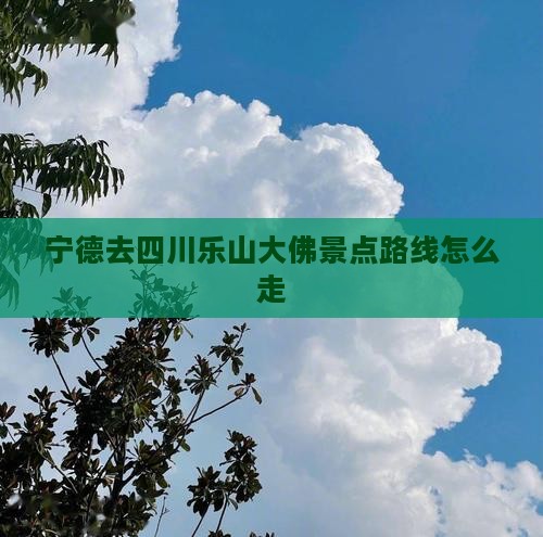 宁德去四川乐山大佛景点