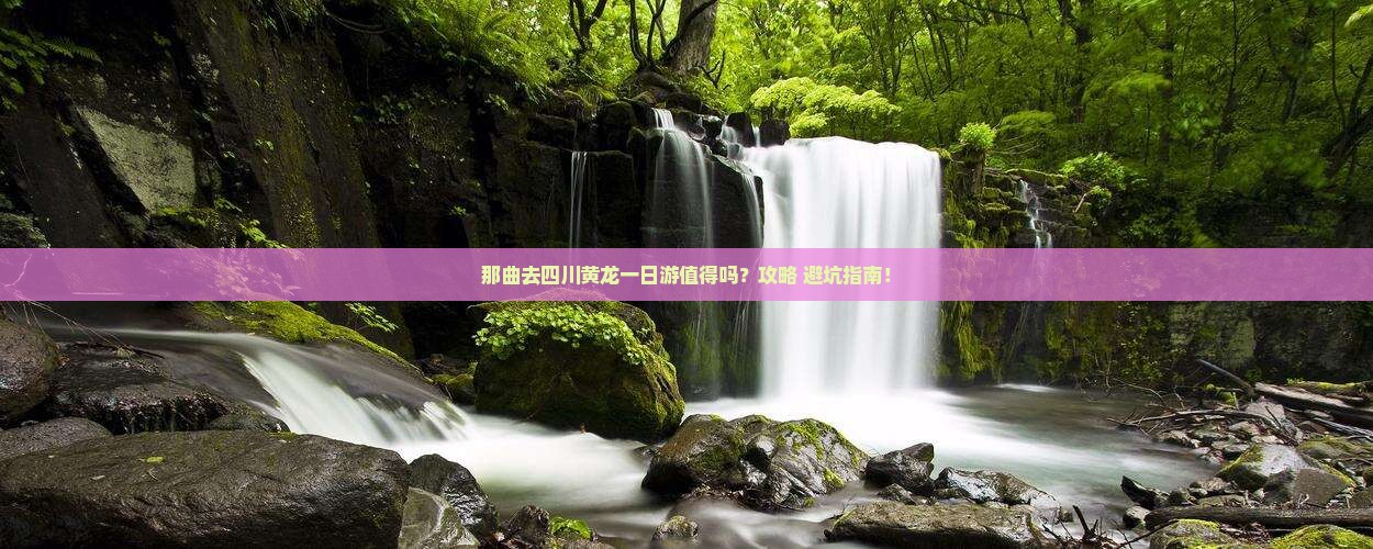 那曲去四川黄龙一日