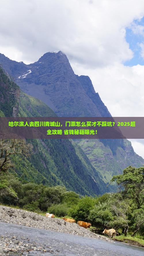 哈尔滨到四川青城山门票
