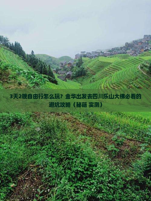 金华去四川乐山大佛自由团