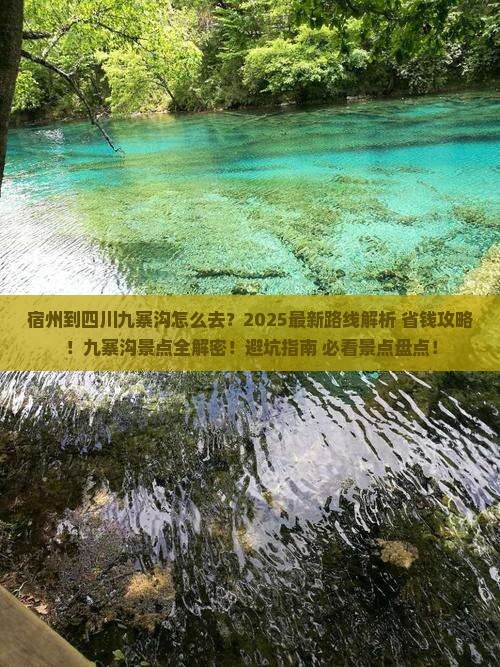 宿州到四川九寨沟景点
