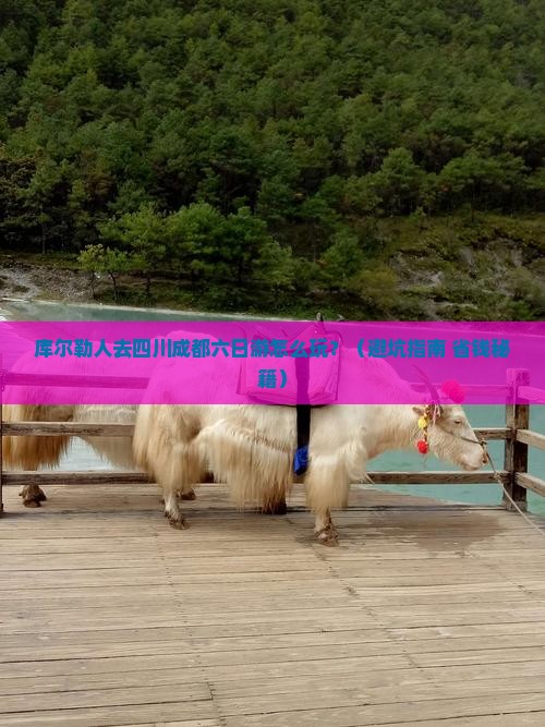 库尔勒去四川成都六日游