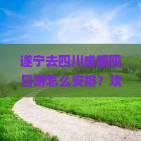 遂宁去四川成都四日游