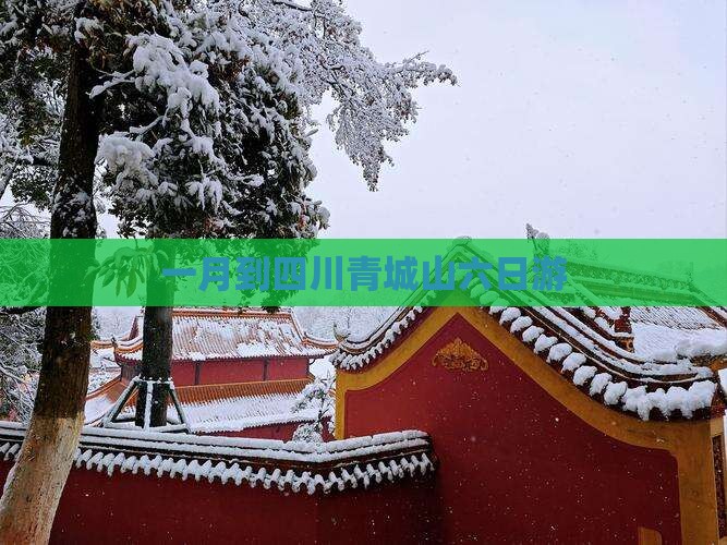 一月到四川青城山六日游