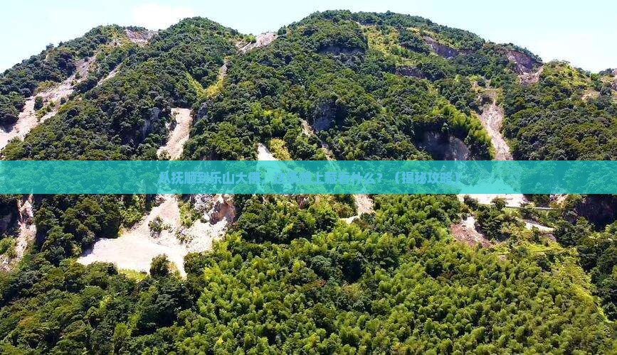 抚顺到四川乐山大佛必去地