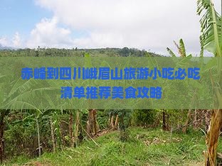 赤峰到四川峨眉山旅游小吃