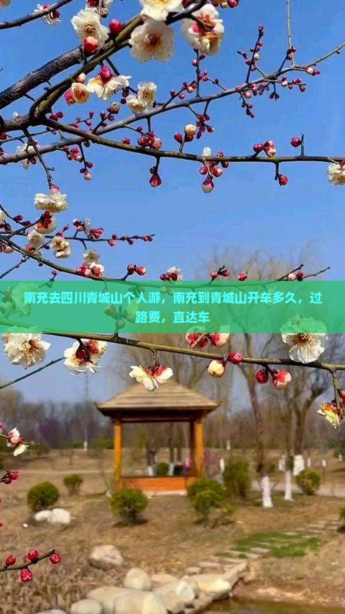 南充去四川青城山个人游