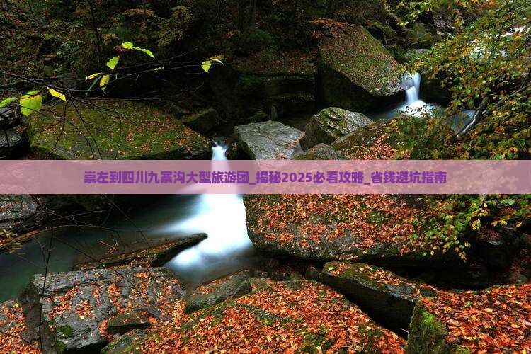崇左到四川九寨沟大型旅游团