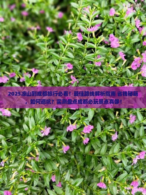 凉山到四川成都哪里玩