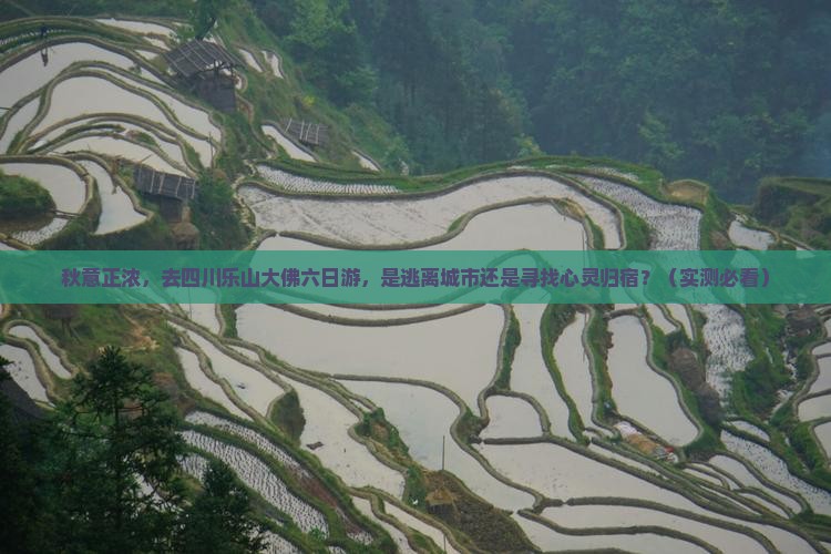 秋天去四川乐山大佛六日游