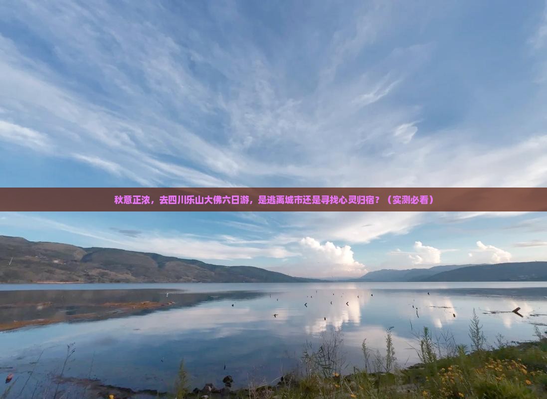 秋天去四川乐山大佛六日游
