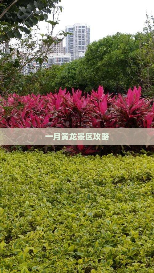 一月到四川黄龙攻略