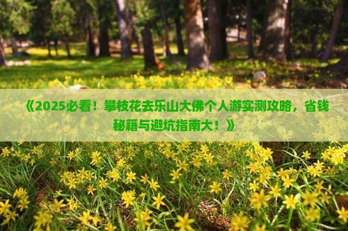 攀枝花去四川乐山大佛个人游