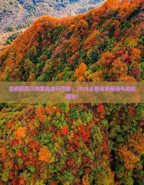 昌都到四川黄龙自由行