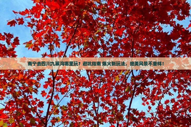 南宁去四川九寨沟哪里玩