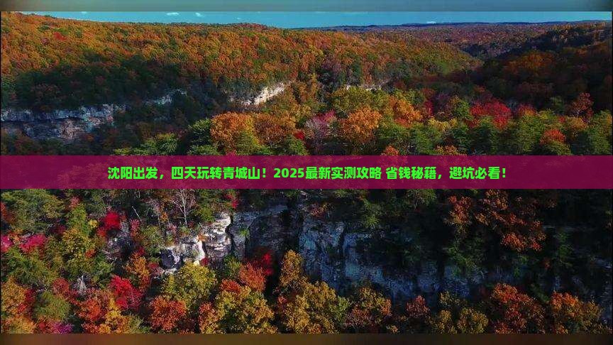 沈阳到四川青城山四日游