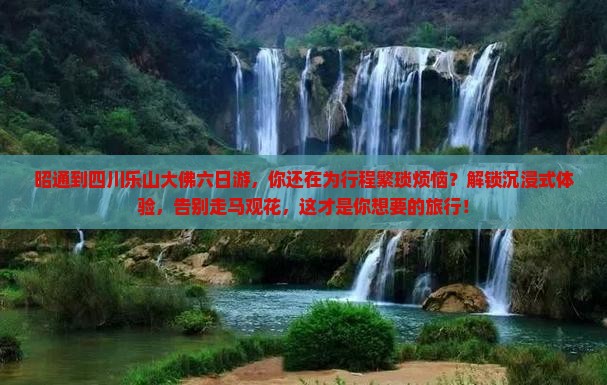昭通到四川乐山大佛六日游