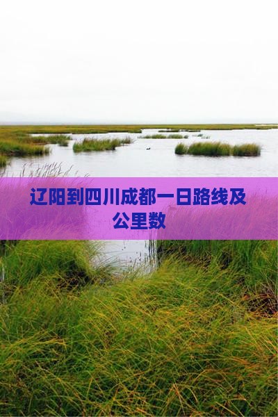 辽阳到四川成都一日