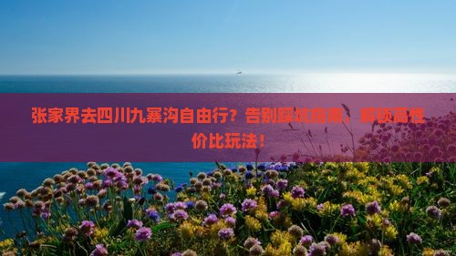 张家界去四川九寨沟自由行