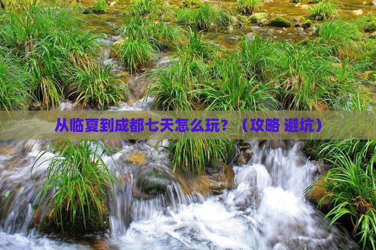 临夏到四川成都七日游