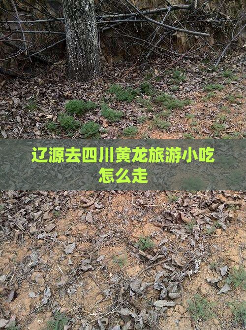 辽源去四川黄龙旅游小吃