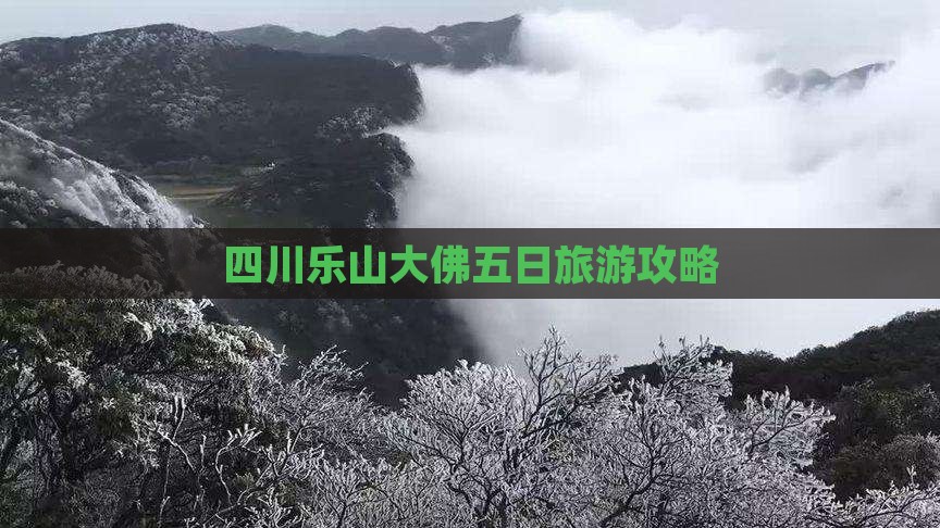 三亚去四川乐山大佛五日游