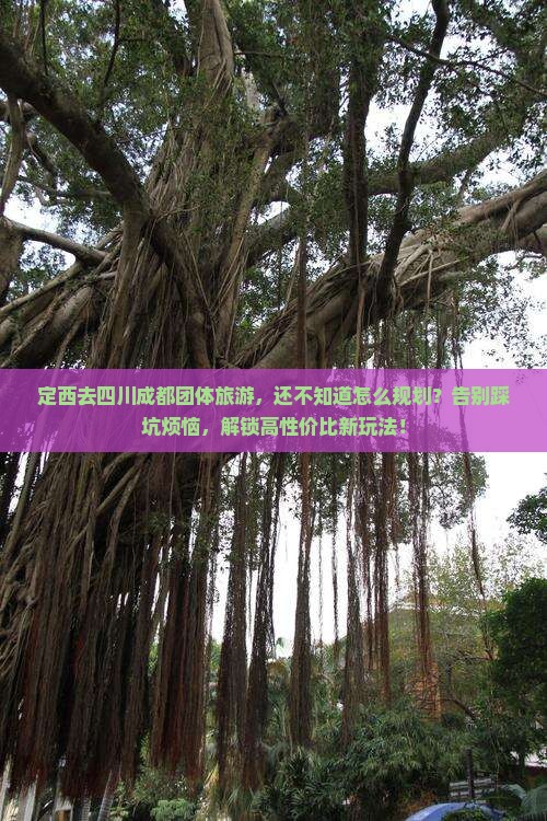 定西去四川成都团体旅游