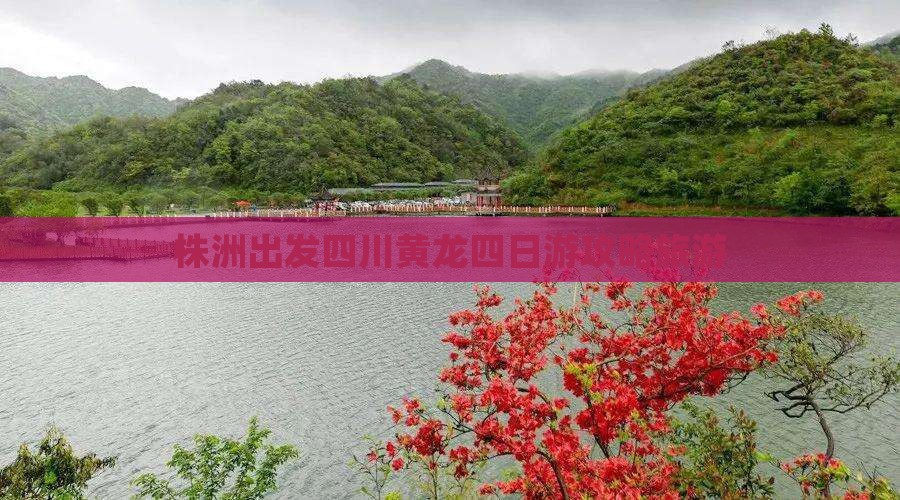 株洲去四川黄龙四日游