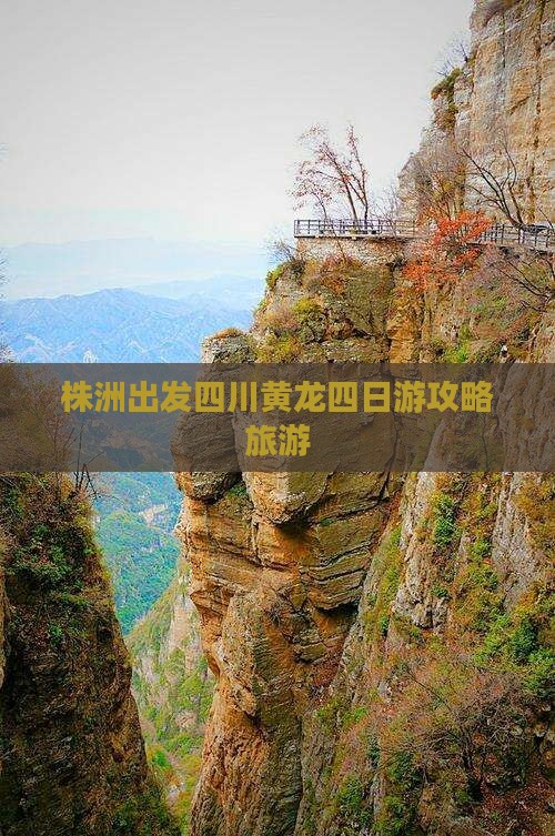 株洲去四川黄龙四日游
