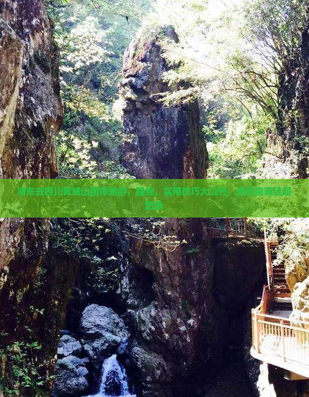 海东去四川青城山团体旅游